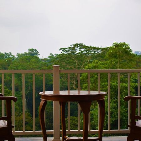 Bee View Home Stay 캔디 외부 사진