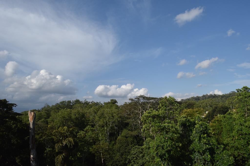 Bee View Home Stay 캔디 외부 사진